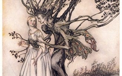 The Secret Life of Trees: The Astonishing Science of What Trees Feel and How They Communicate – Brain Pickings