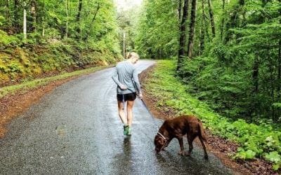 People are realizing how badly they need nature | TreeHugger