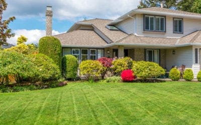 Spring Turfgrass Seeding & Fertilization | Turf Magazine