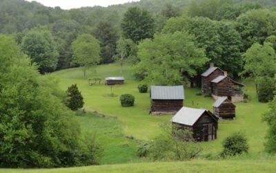 Why Trees Are the Most Reliable Historians of Early America | Atlas Obscura
