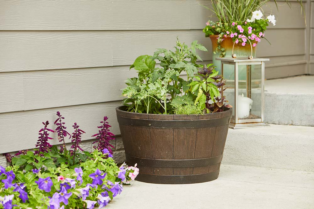 container garden