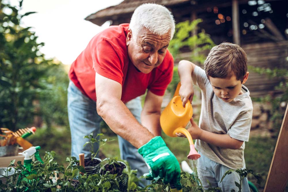 grandfather and grandson planting in a garden