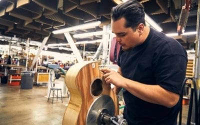 Taylor Guitars Is Building Guitars Out of Trees Along the Highway – Rolling Stone