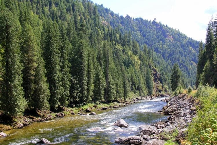 Clearwater lochsa river