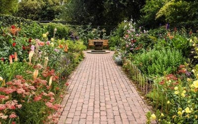 Steps for a Garden with Long Interest and Less Maintenance – Horticulture