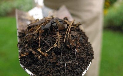 How to Make Compost Step by Step | Better Homes & Gardens