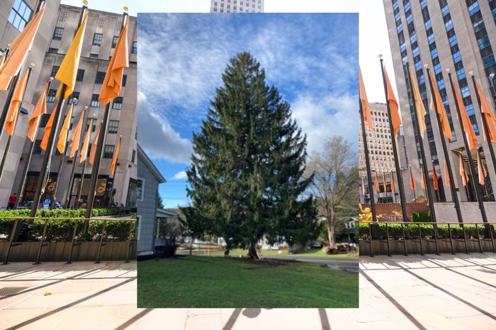 Rockefeller Center Christmas Tree