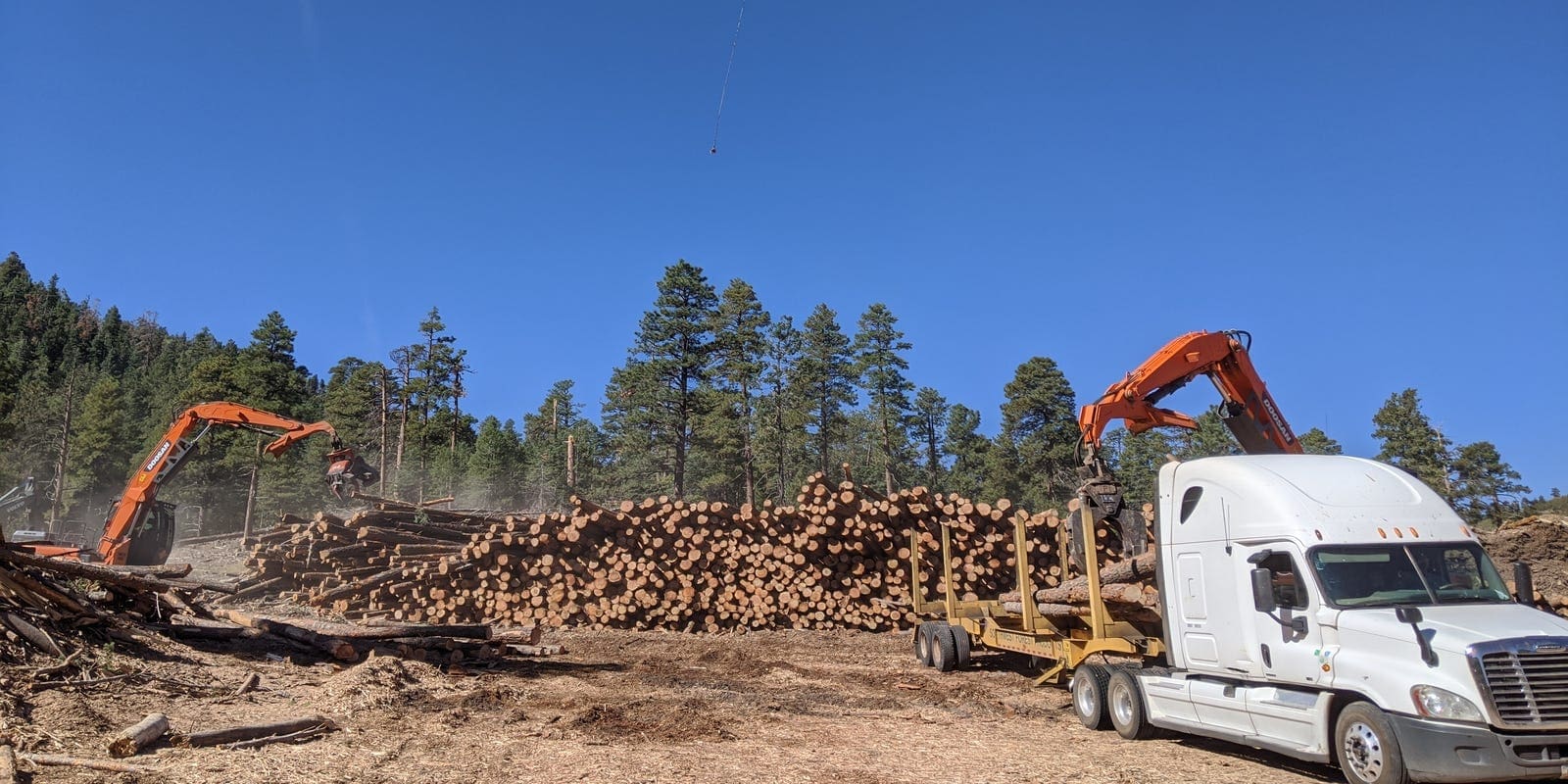 Harvested timber is loaded into a log truck after being delivered by a helicopter during the first phase of the Bill Williams Mountain restoration project.
