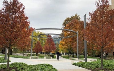 Tree Planting: Evolution Of The Tree | Turf Magazine