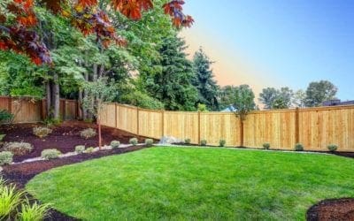 How to Make Your Yard More Sustainable | LoveYourLandscape.org