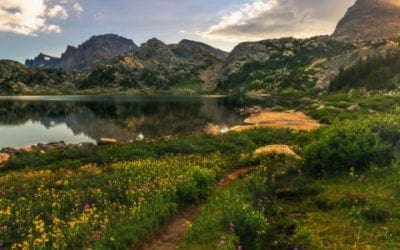 What are the differences between National Parks and National Forests? – National Forest Foundation