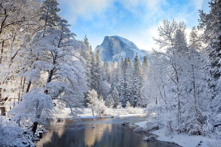| Bogan Tree Service snow in yosemite park