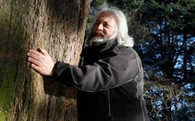 Experience: I’m a tree hugger | Life and style | The Guardian