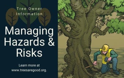 Managing Hazards & Risks | TreesAreGood.org