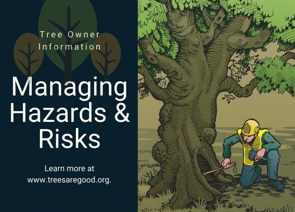 Managing Hazards & Risks | TreesAreGood.org
