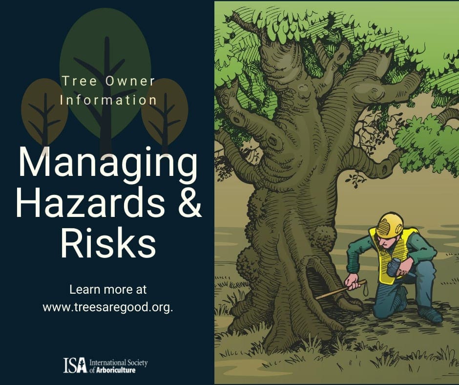 Managing Hazards  Risks