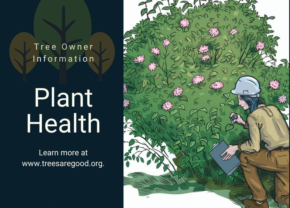 Plant Health | TreesAreGood.org