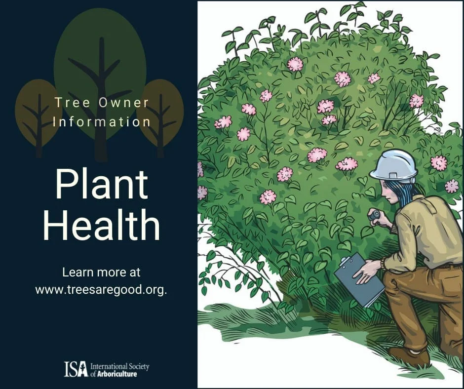 Plant Health