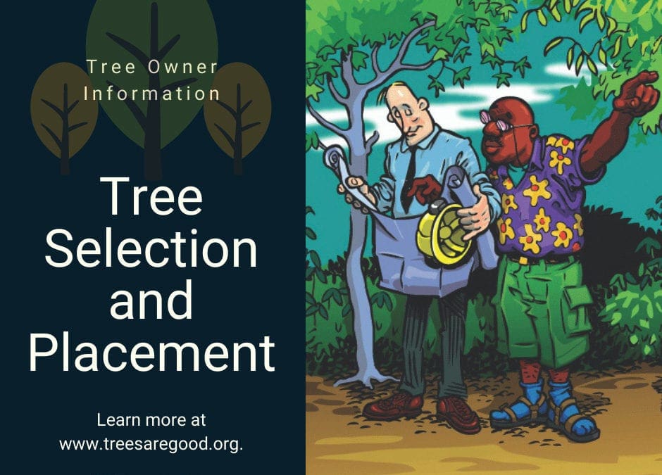 Tree Selection and Placement | TreesAreGood.org