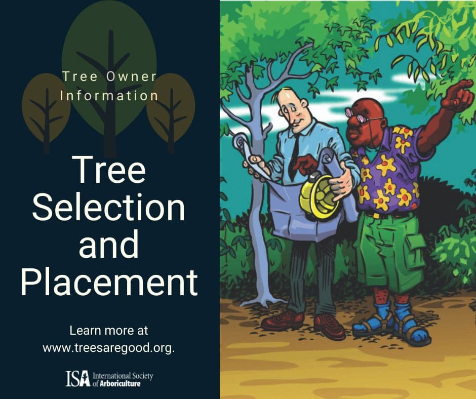 Tree Selection and Placement