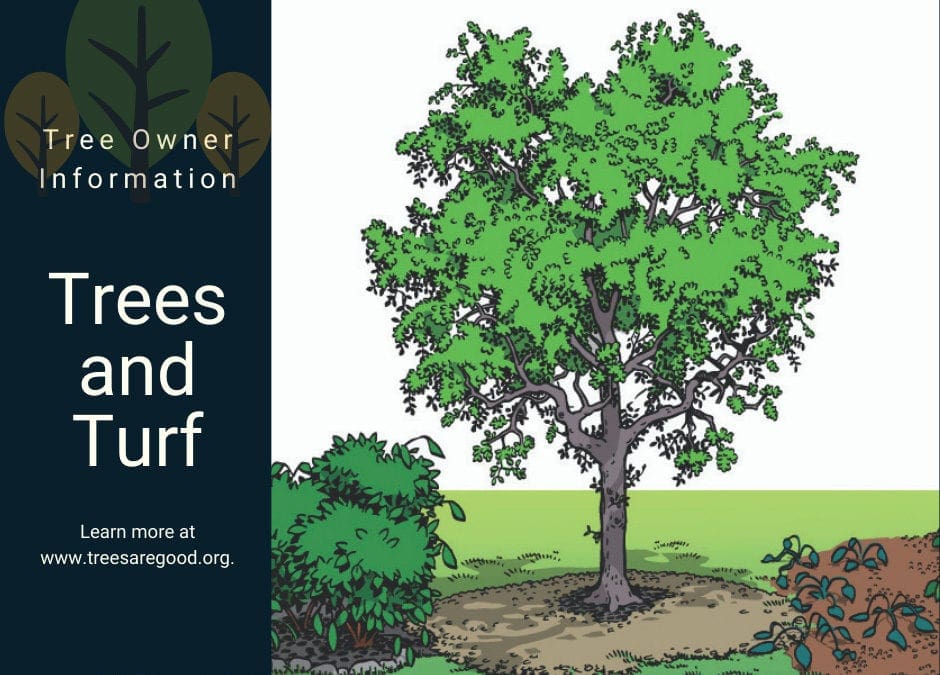 Trees and Turf | TreesAreGood.org