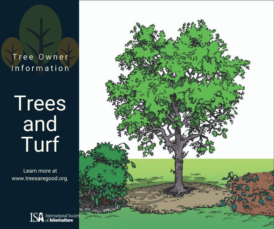 Trees and Turf