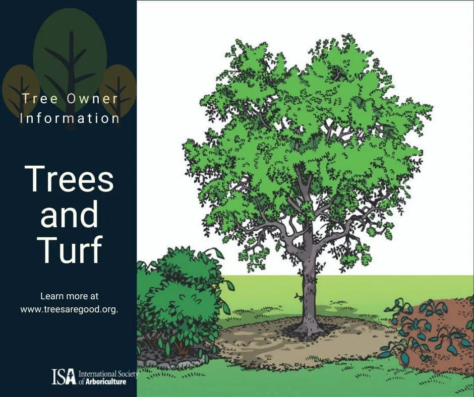 Trees and Turf