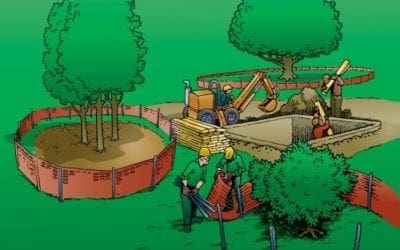 Managing Hazards and Risk | TreesAreGood.org