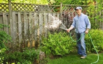 How much water do shrubs need?LoveYourPlants.org