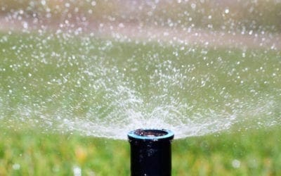 How to Water Wisely | LoveYourLandscape.org