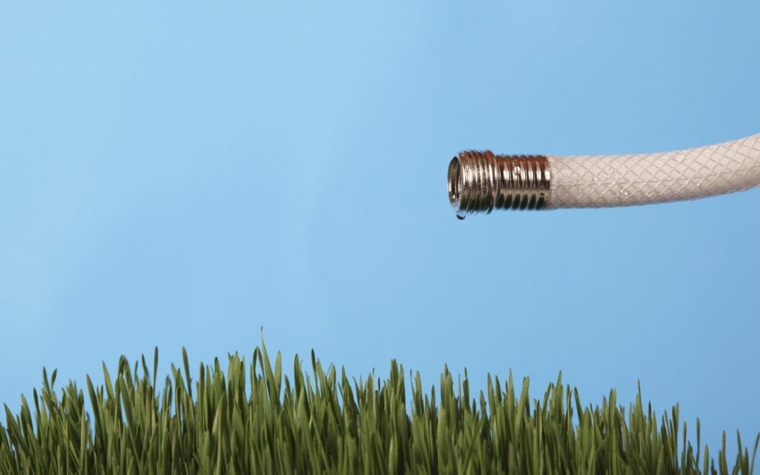 Harnessing Water in Your Landscape: Making Every Drop Count | LoveYourLandscape.org