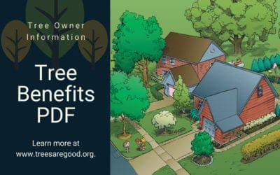 Tree Benefits | TreesAreGood.org