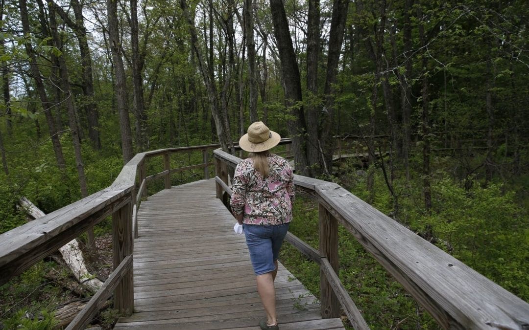 Trees? Yes, please. How forest bathing can help you heal – The Boston Globe