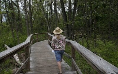 Trees? Yes, please. How forest bathing can help you heal – The Boston Globe