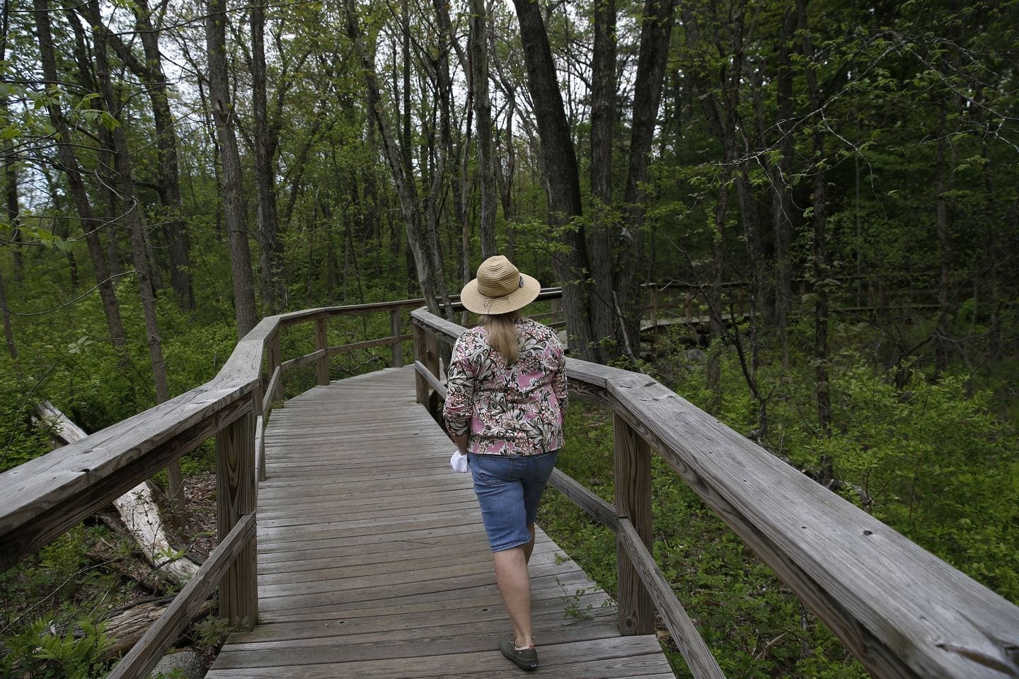 Karen Fluet Roy, of Fitchburg walked through the Acton Arboretum.