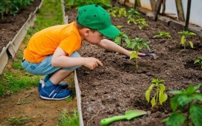Yard Maintenance Tasks for Children of All Ages | Realtor.com