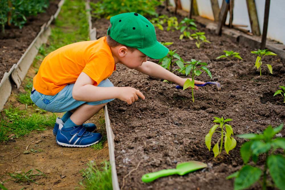 child gardening