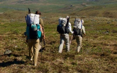 A Journey to the Northernmost Tree in Alaska | Smithsonian Magazine