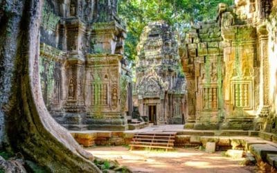 The real urban jungle: how ancient societies reimagined what cities could be | Cities | The Guardian