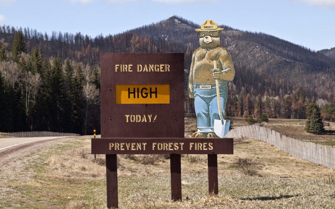 5 Things Smokey Bear Wants You to Know | Arbor Day Blog