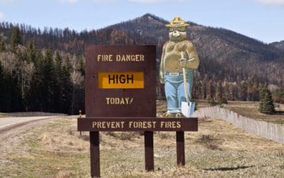 5 Things Smokey Bear Wants You to Know | Arbor Day Blog