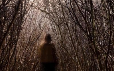 Call the copse! The sudden flourishing of culture about trees | The Guardian