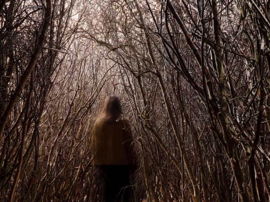 The Forked Forest Path by Olafur Eliasson