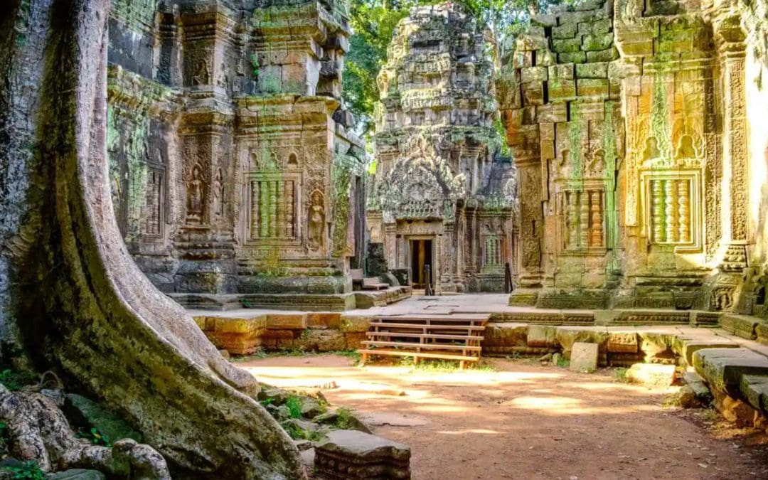 The real urban jungle: how ancient societies reimagined what cities could be | The Guardian