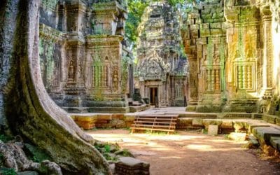 The real urban jungle: how ancient societies reimagined what cities could be | The Guardian