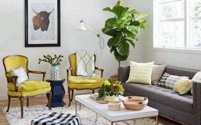 Best Indoor Trees for Your Home | Better Homes & Gardens