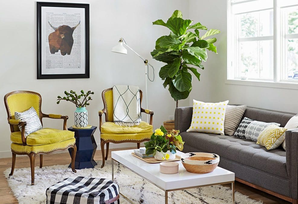 Best Indoor Trees for Your Home | Better Homes & Gardens