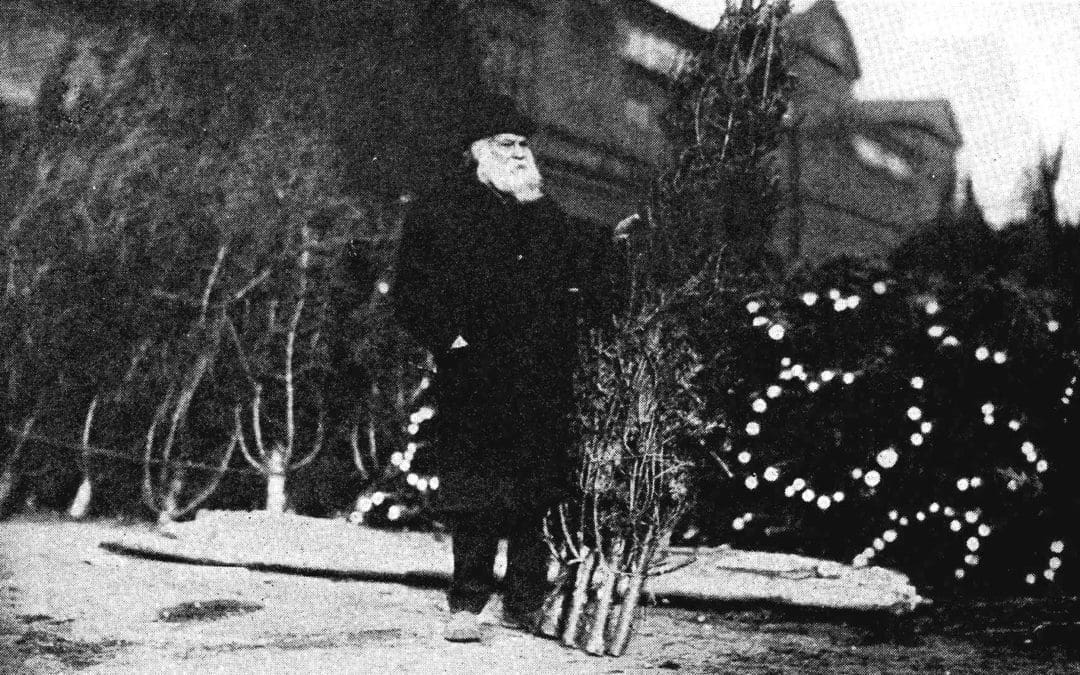 A century ago, this Santa Claus lookalike from Maine was considered the ‘Christmas Tree King of America’ – The Boston Globe