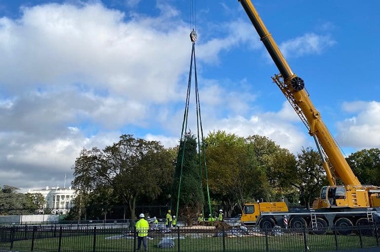 national christmas tree planting 2021