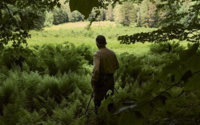 Old, Primeval Forests May Be a Powerful Tool to Fight Climate Change | Smithsonian Magazine